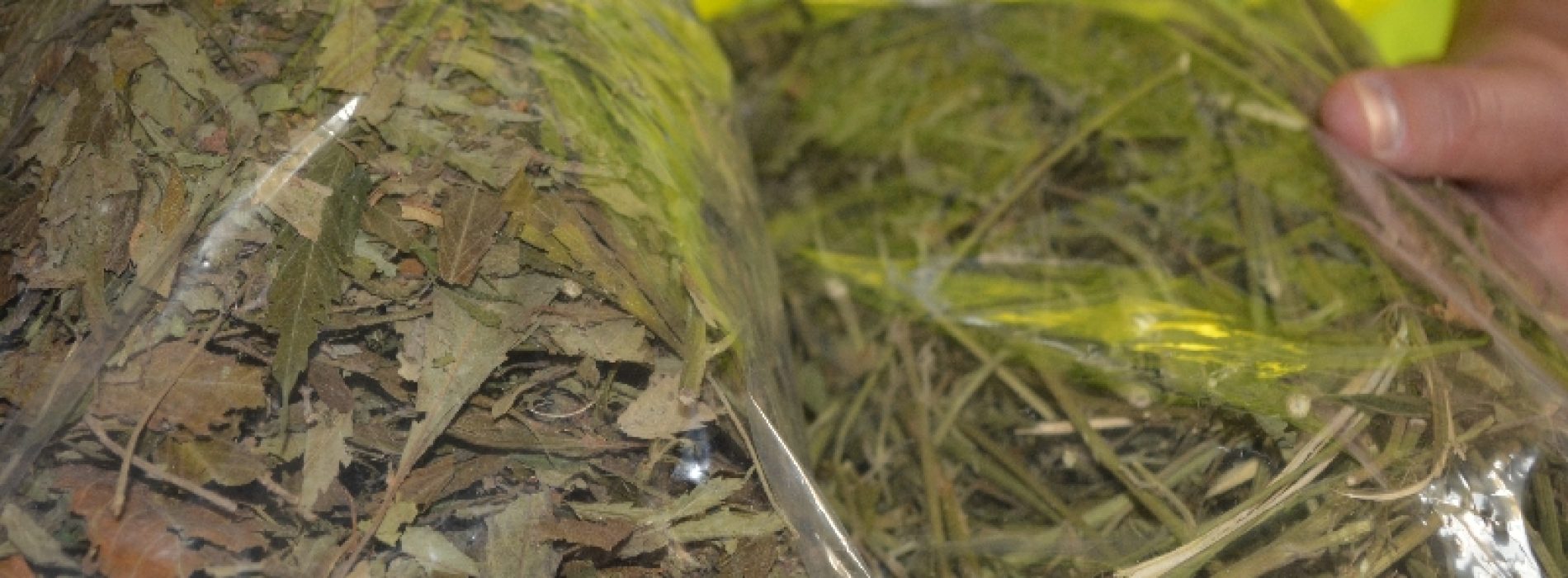 Policjanci z Komisariatu Policji w Zabierzowie ujawnili niemal 2,5 kg suszu marihuany